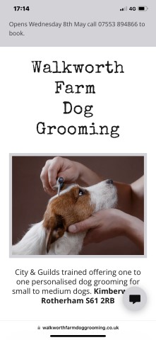 Walkworth Farm Dog Grooming