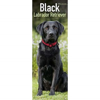 Download Labrador Retriever (Lab) Gifts/Presents/Merchandise (Page 1)