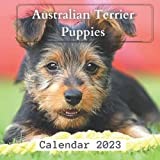 2023 Australian Terrier Calendars