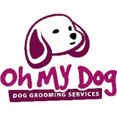 Dog Groomers in or nearby Chesterfield, Derbyshire | FreeDogListings ...