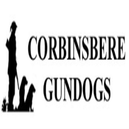 Corbinsbere gundogs hot sale