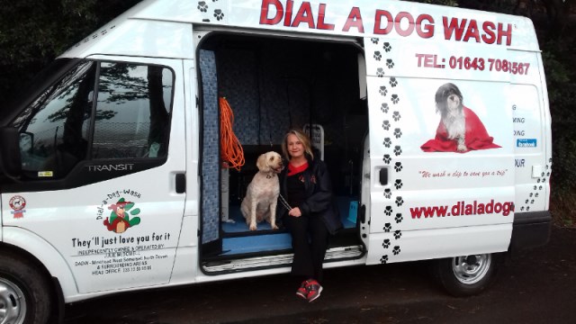 Mobile dog store grooming somerset west