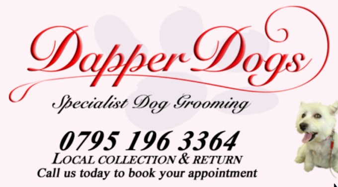 Dapper Dogs Edmonton, Greater London N9 9QD